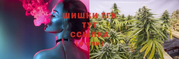 дживик Киренск