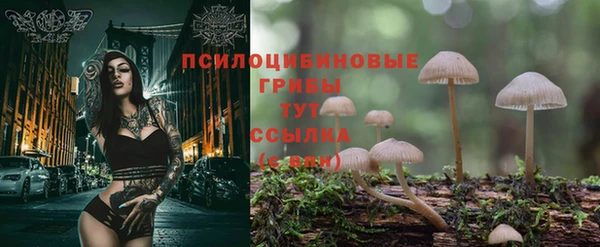 первитин Киреевск