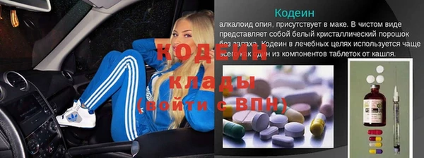 дживик Киренск