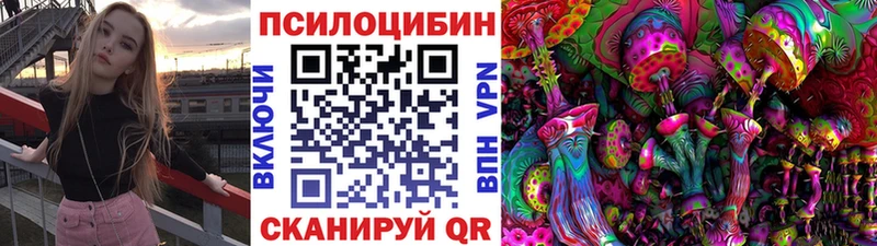 Купить закладки  Елабуга  Псилоцибиновые грибы GOLDEN TEACHER 
