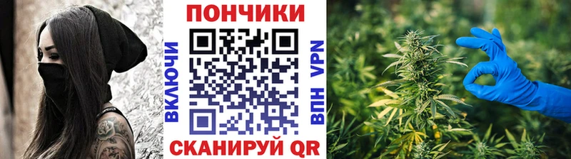 Бошки Шишки ГИДРОПОН  Купить закладки  Елабуга 